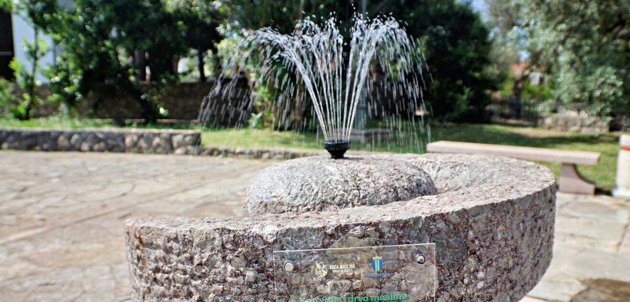  (Foto: Kuća maslina)