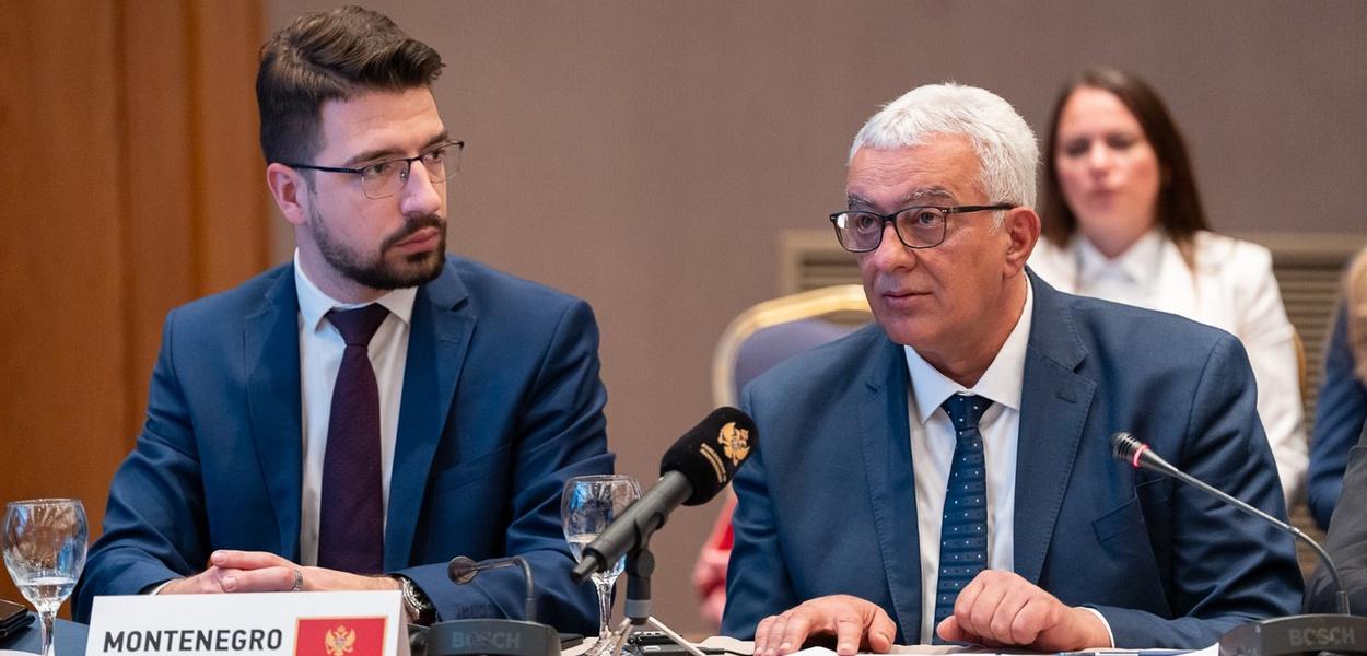 (Foto: Skupština CG)