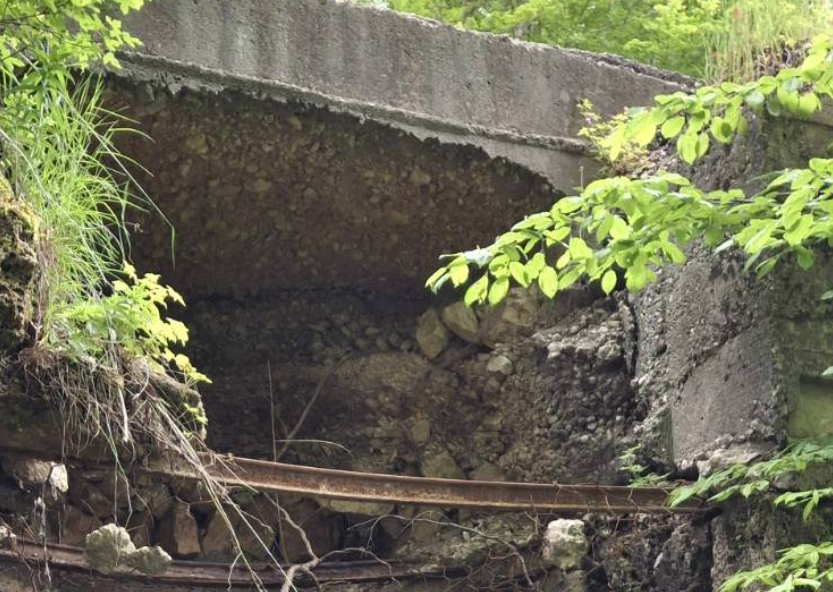 (Foto: Obrad Pješivac )