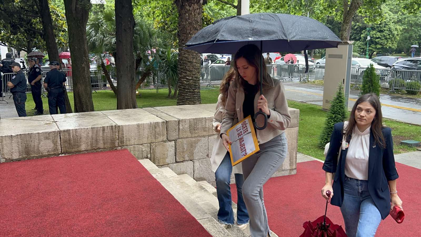 Predali Deklaraciju o zaštiti prostora Crne Gore