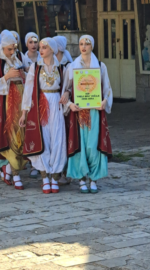 Kulturno-umjetničko društvo Vrelo Ibra