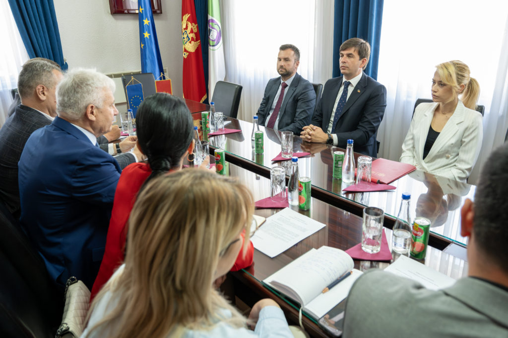 (Foto: Ministarstvo dijaspore)