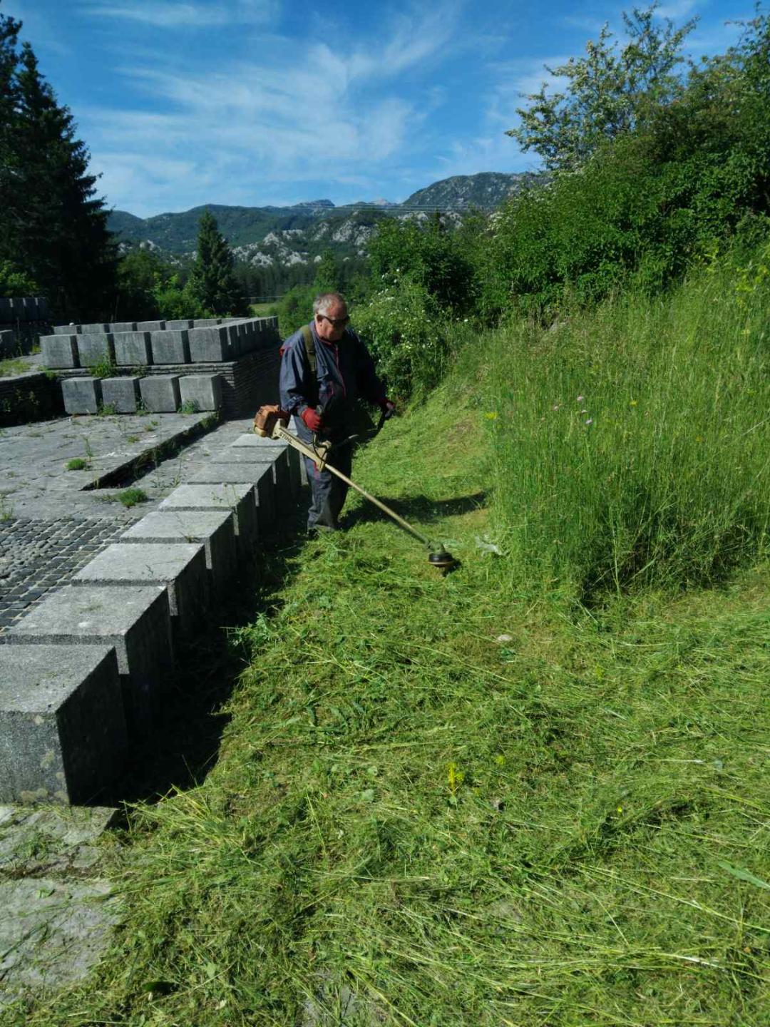 Novo Kaljević u akciji