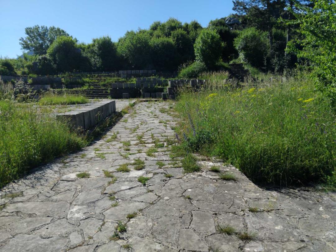 Staze zarasle u travu i korov