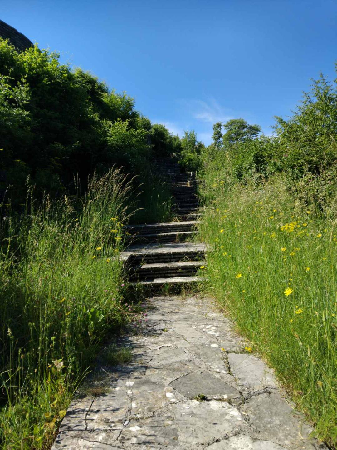 Nebriga na svakom koraku