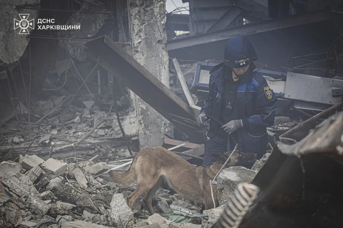 Ukrajina (arhivska fotografija) (Foto: Ukrainian Emergency Service via AP)