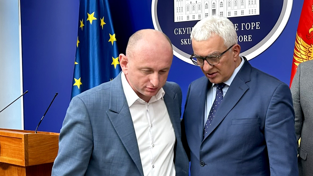 Milan Knežević i Andrtija Mandić