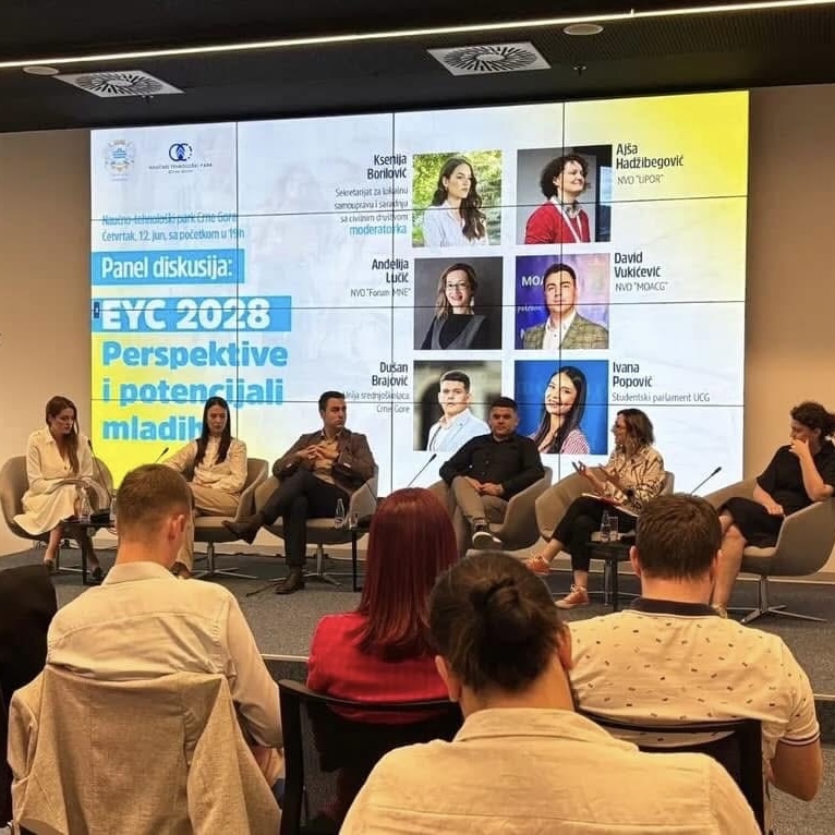 Sa panel diskusije (Foto: Mreža za omladinski aktivizam Crne Gore)