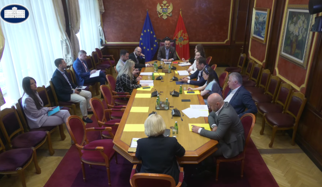 Sa današnje sjednice Odbora za međunarodne odnose i iseljenike (Foto: Stop kadar)