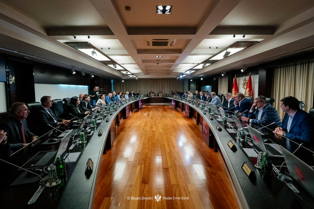 Ilustracija (Foto: Vlada CG)