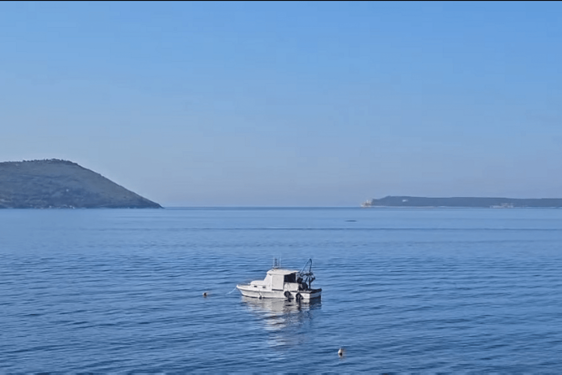  (Foto: Printscreen )