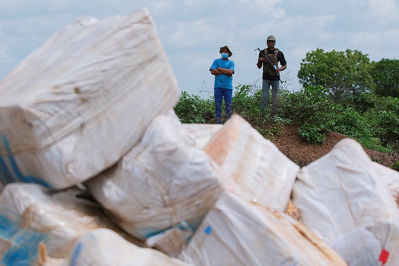 Uništavanje zaliha kokaina (Foto: Rojters)