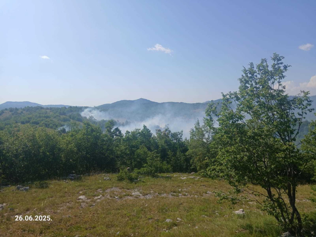Požau u selu Somina (Foto: Dan)