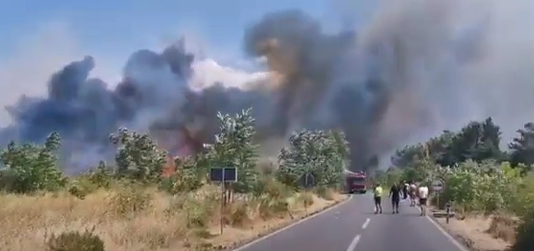 Požar u Tuzima (Foto: Portal ETV)