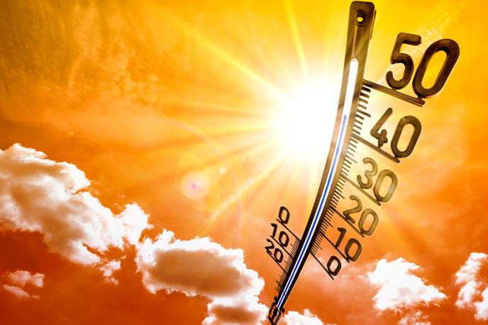  (Foto: Shutterstock)