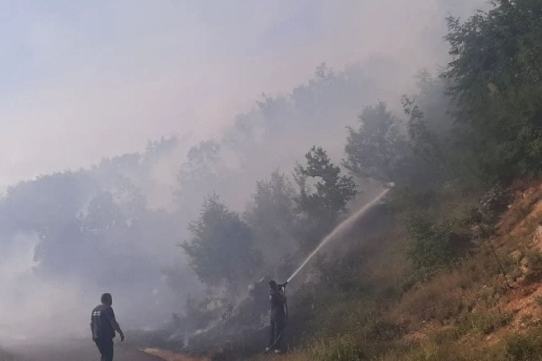 Foto: Cetinjski list