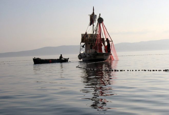 (Foto: Wikimedia Commons)