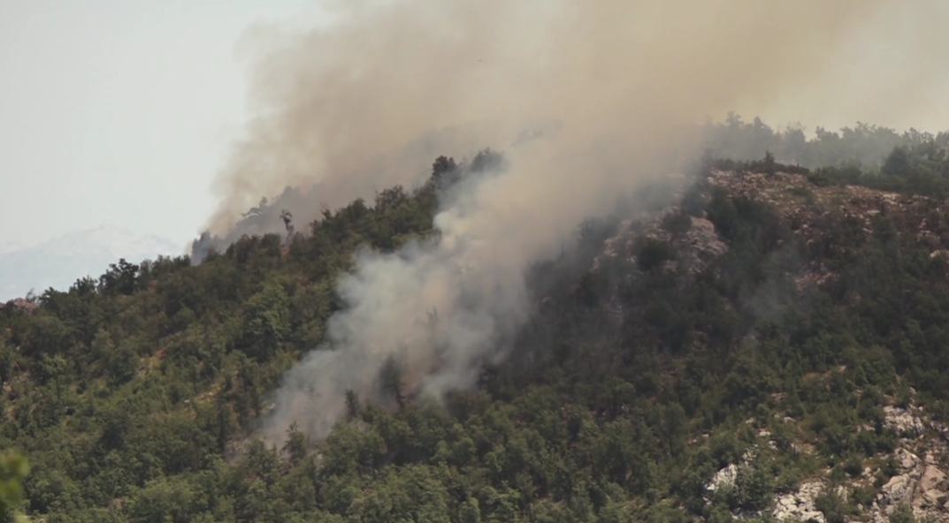 Požar na Obzovici (Foto: RTV Cetinje - stop kadar)