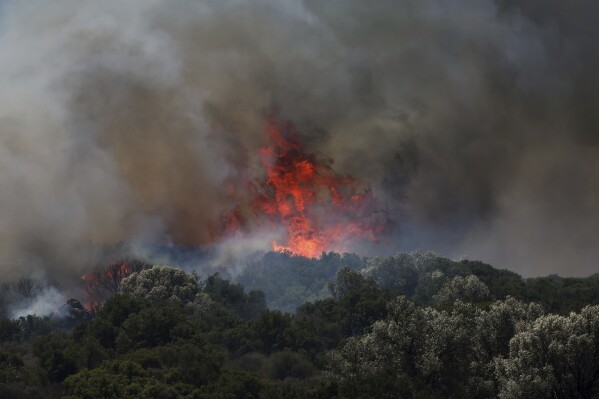 Šumski požar u Turskoj (Foto: AP)