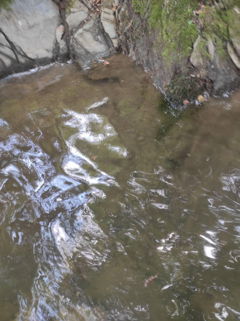 (Foto: Privatna arhiva)