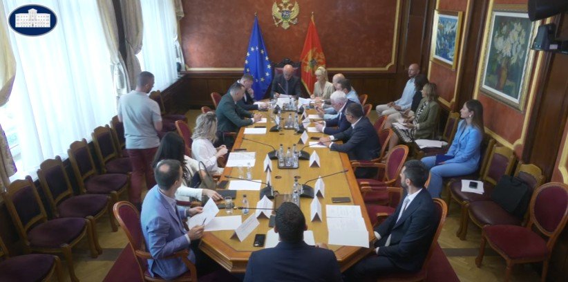 (Foto: Skupština screenshot)