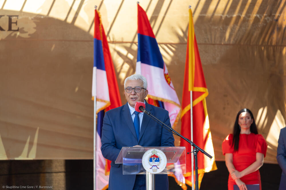 Mandić u Nevesinju (Foto: Skupština Crne Gore)