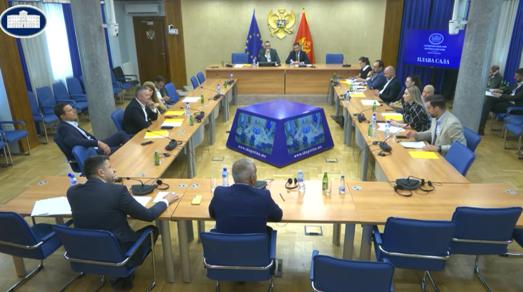 Sa današnje sjednice Odbora za međunarodne odnose i iseljenike (Foto: Stop kadar)