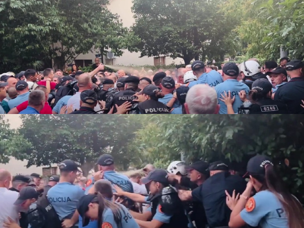  (Foto: Portal ETV/Anja Ivanović)