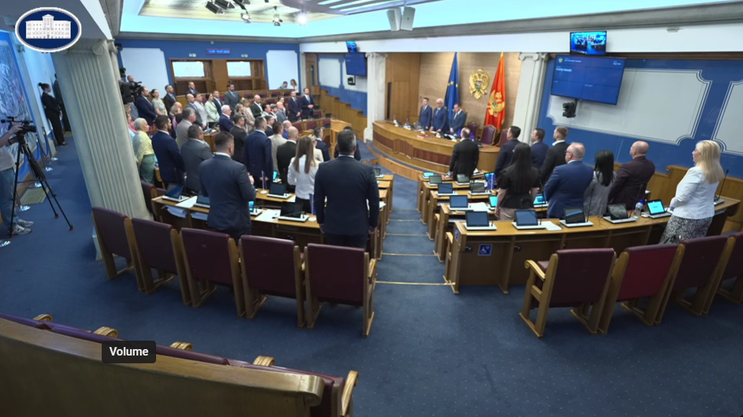 Minut ćutanja za žrtve genocida u Srebrenici (Foto: Skupština Crne Gore/Youtube)