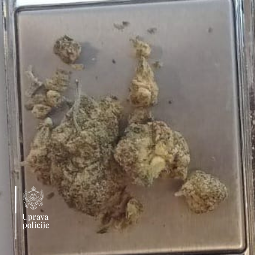 Oduzeta marihuana (Foto: Uprava policije)