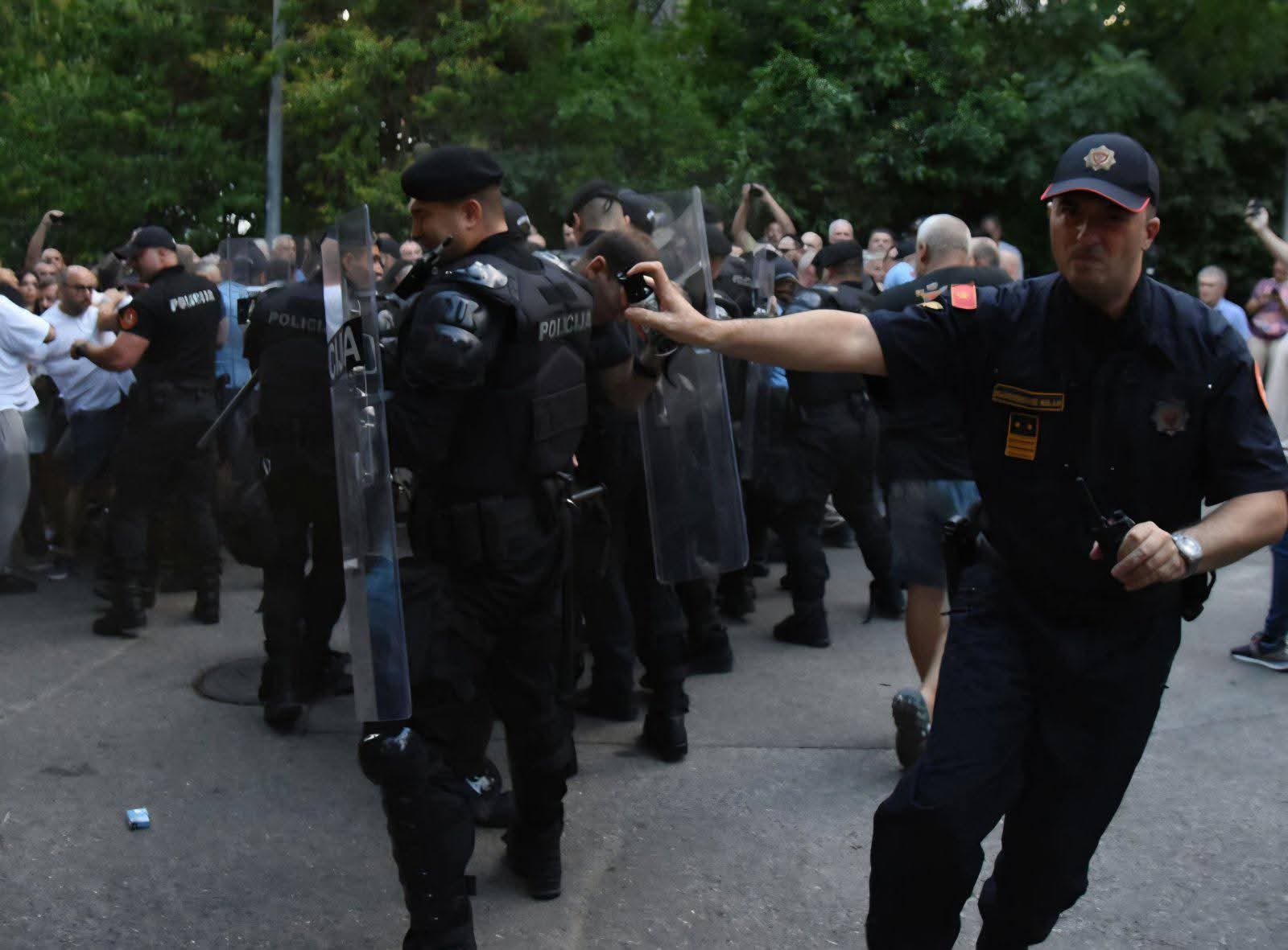 Protest Vila Gorica -prijava