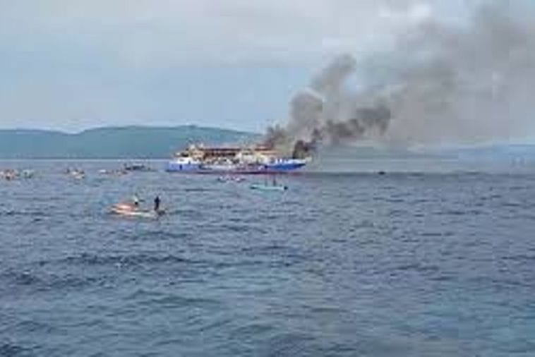 (Foto: 1News screenshot)