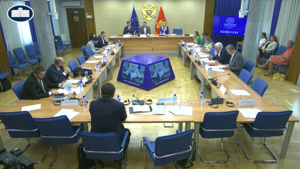 Odbor za sveobuhvatnu izbornu reformu (Foto: Skupština Crne Gore/Youtube)