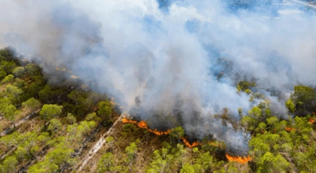 (Foto: shutterstock)