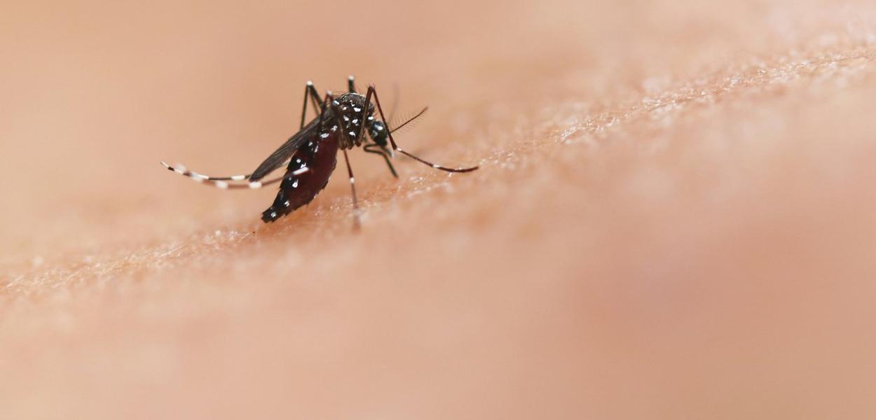 Komarac (ilustracija) (Foto: National Institute of Allergy and Infectious Diseases/Unsplash)