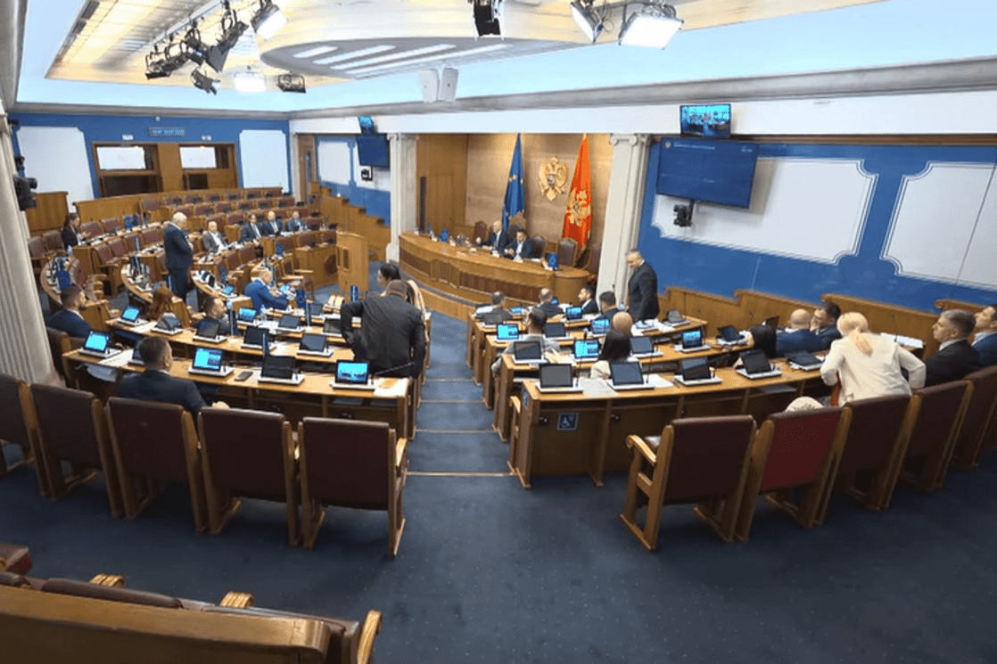 (Foto: Skupština Crne Gore/Youtube)