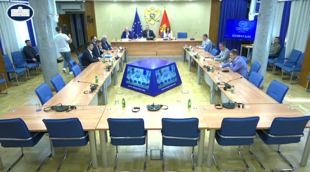 Anketni odbor (Foto: Skupština Crne Gore/Youtube)