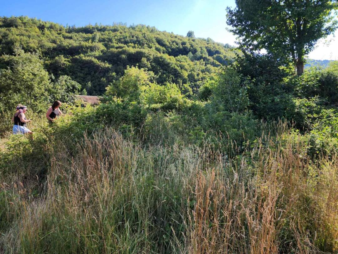 Nema ni staze do grobova Pave i Ahmeta