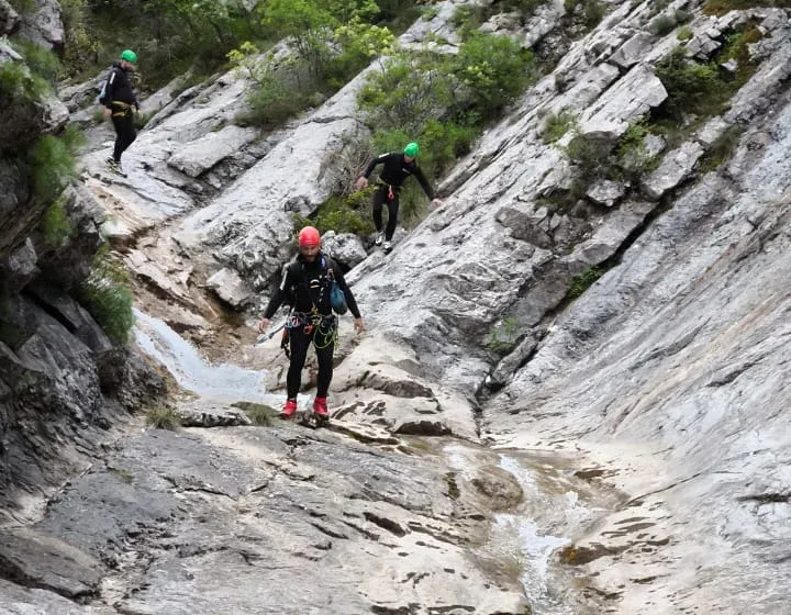 (Foto: Primorski portal)