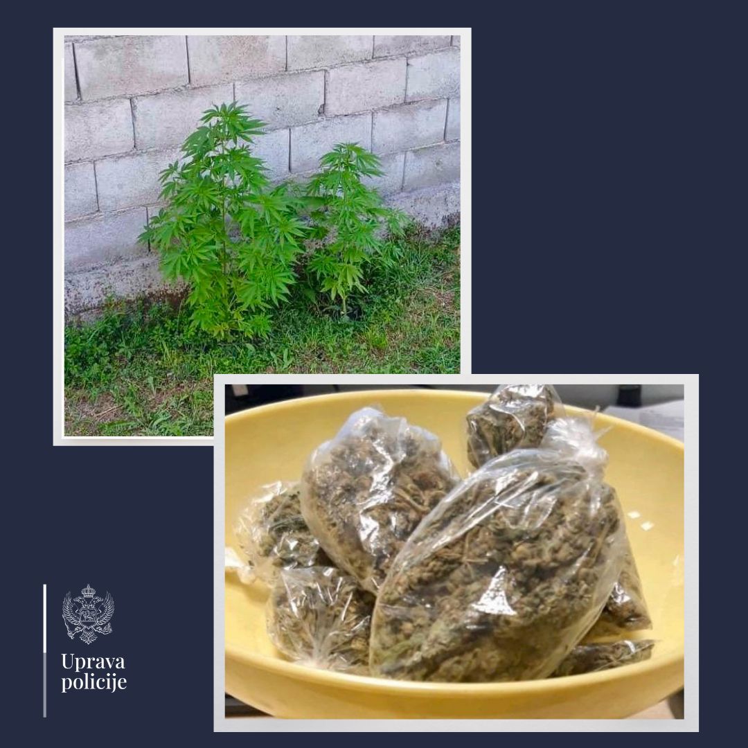 (Foto: Uprava policije)