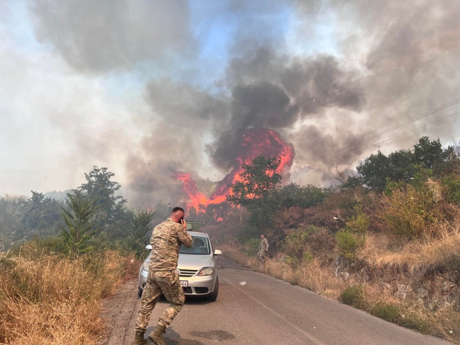 Požar u Piperima (Foto: Portal RTCG)
