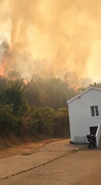 Požar iznad Buljarice (Foto: Portal Analitika/Youtube)