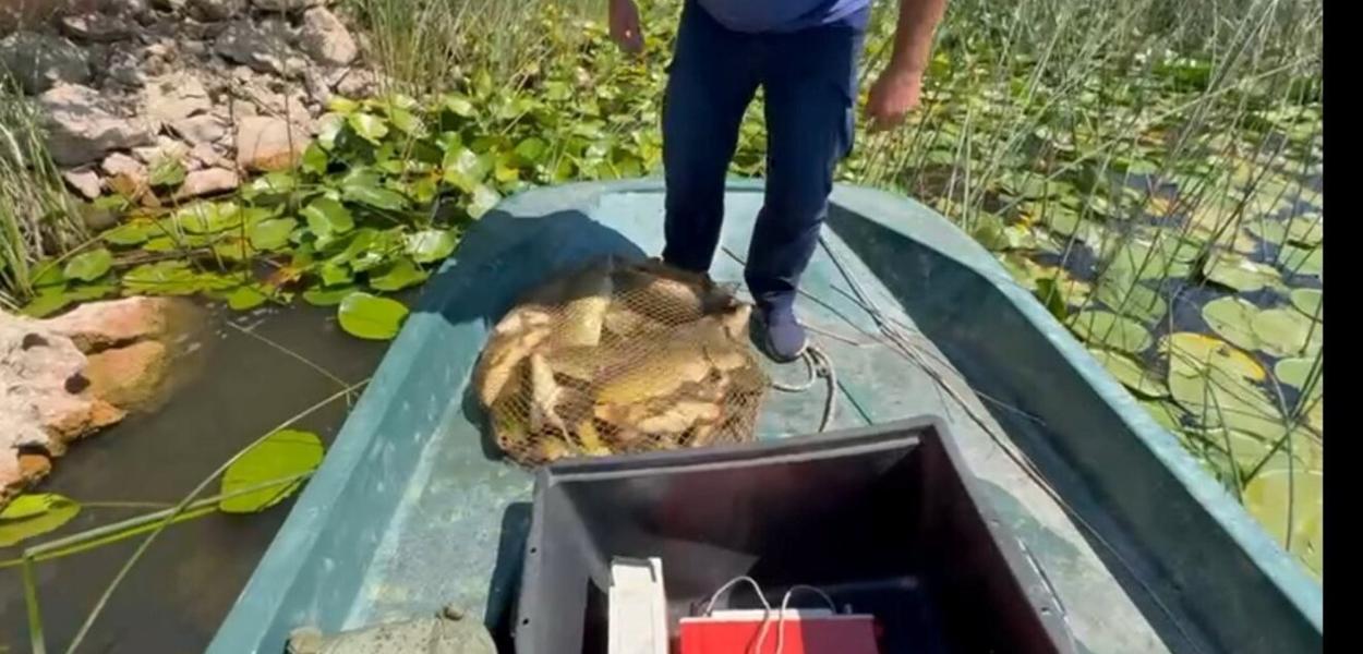 (Foto: NP Skadarsko jezero)