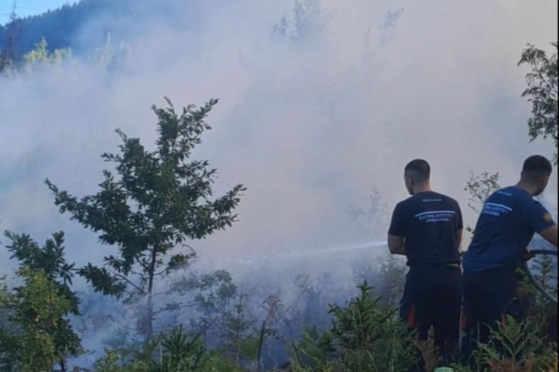 (Foto: Služba zaštite i spašavanja Bijelo Polje)