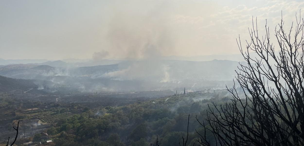 Požar u Piperima (Foto: Portal ETV/Tamara Klikovac)