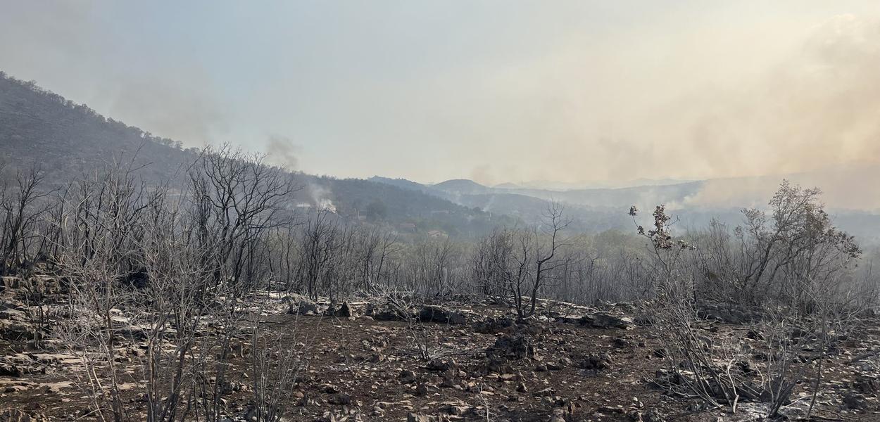 Požar u Piperima (Foto: Portal ETV/Tamara Klikovac)