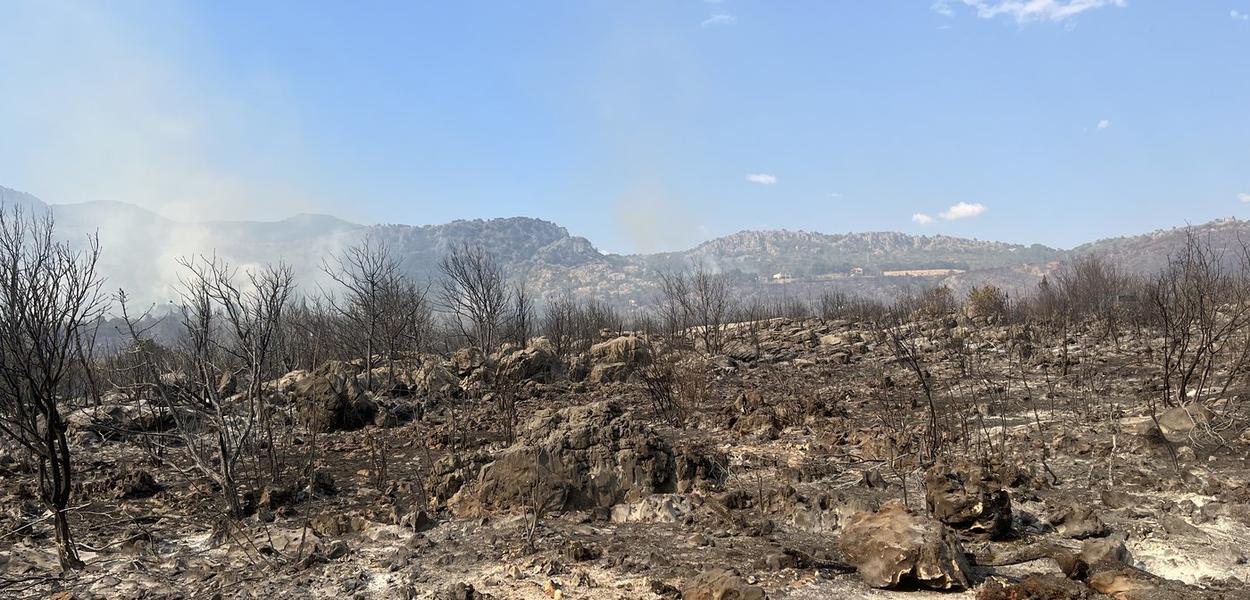 Požar u Piperima (Foto: Portal ETV/Tamara Klikovac)