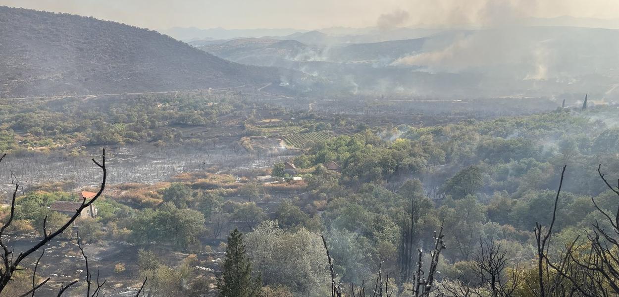 Požar u Piperima (Foto: Portal ETV/Tamara Klikovac)
