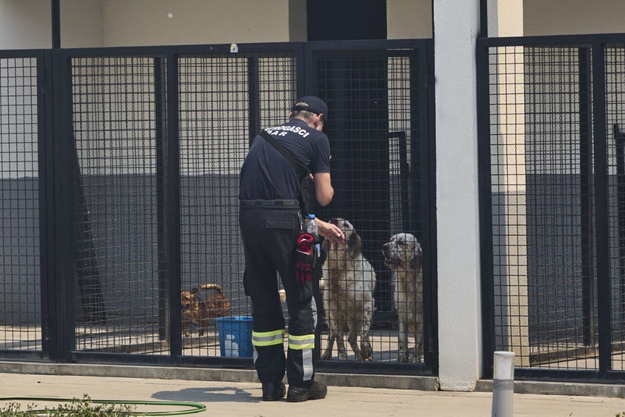 Vatrogasci spasili sve životinje u azilu u Kufinu