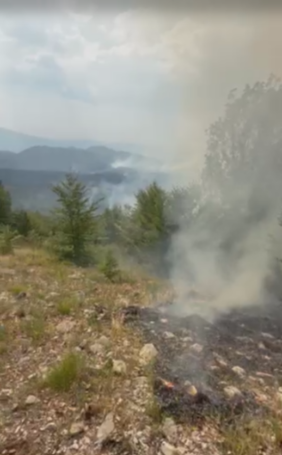 Topolovo, Danilovgrad (Foto: TV E)